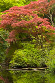 Kitsap Peninsula