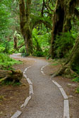 Olympic National Park