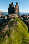 Olympic National Park